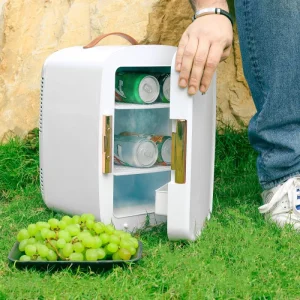 یخچال مسافرتی جیپاس 10 لیتر مدل GRF63052